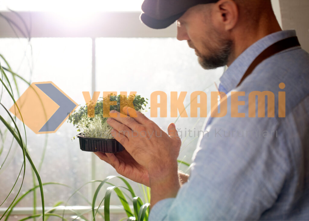 Tıbbi ve Aromatik Bitki Yetiştiriciliği Eğitimi 2 Tıbbi ve Aromatik Bitki Yetiştiriciliği Eğitimi
