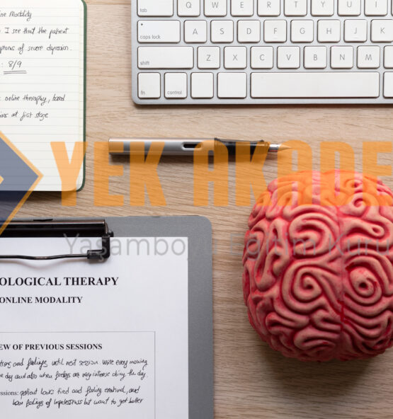 MMPI Uygulayıcı Eğitimi 1 MMPI Uygulama ve Yorumlama Eğitimi, mmpi uygulama ve yorumlama, mmpi uygulama kriterleri, mmpi kimler uygulayabilir, mmpi sertifikası nereden alınır, online mmpi eğitimi sertifikası, MMPI Uygulayıcı Eğitimi