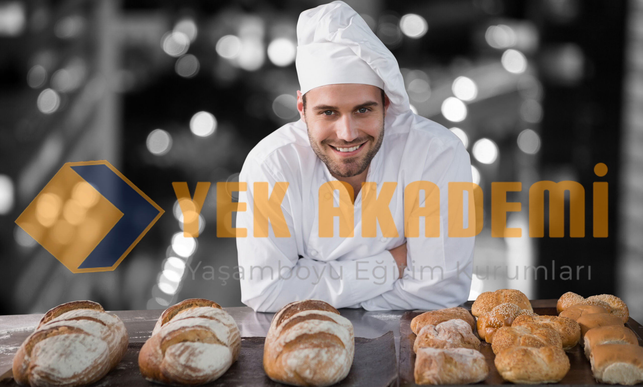 Pastacılık Kalfalık Belgesi