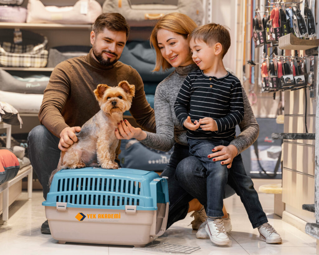 Pet Shop Eğitimi 1 Pet Shop Eğitimi