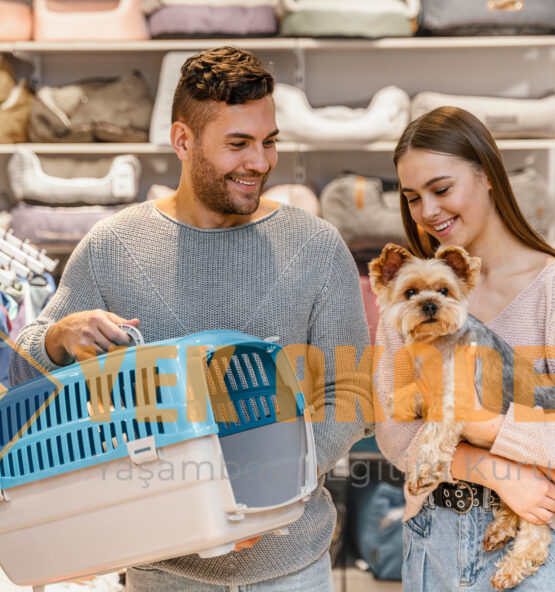 pet shop egitimi yek 555x592