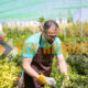 Peyzaj Uzmanlığı Sertifikası