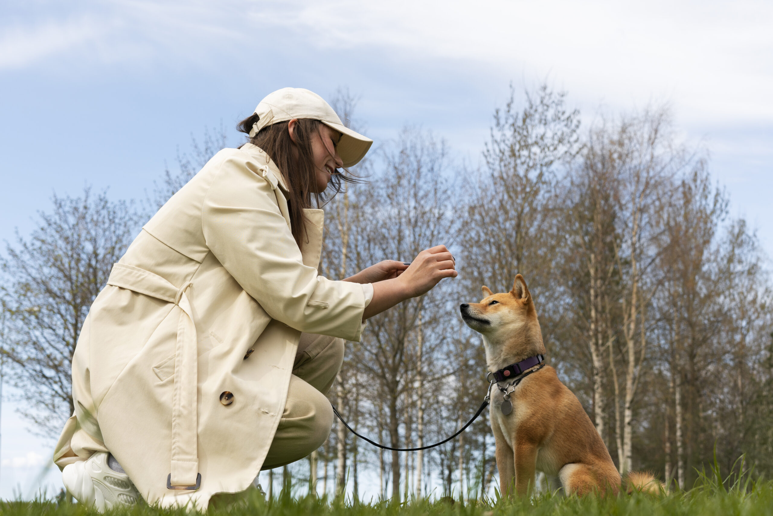 Köpek Eğitmenliği Kursu: YEK Akademi ile Profesyonel Bir Kariyere Adım Atın 4 Köpek Eğitmenliği Kursu