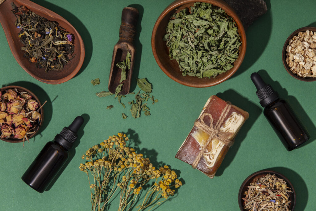 Tıbbi Aromatik Bitkiler Sertifikası 2 Tıbbi Aromatik Bitkiler Sertifikası