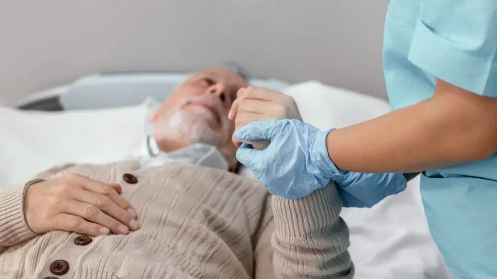 560 Saat Hasta Yaşlı Bakım Sertifikası Nasıl Alınır? 3 560 Saat Hasta Yaşlı Bakım Sertifikası Nasıl Alınır?