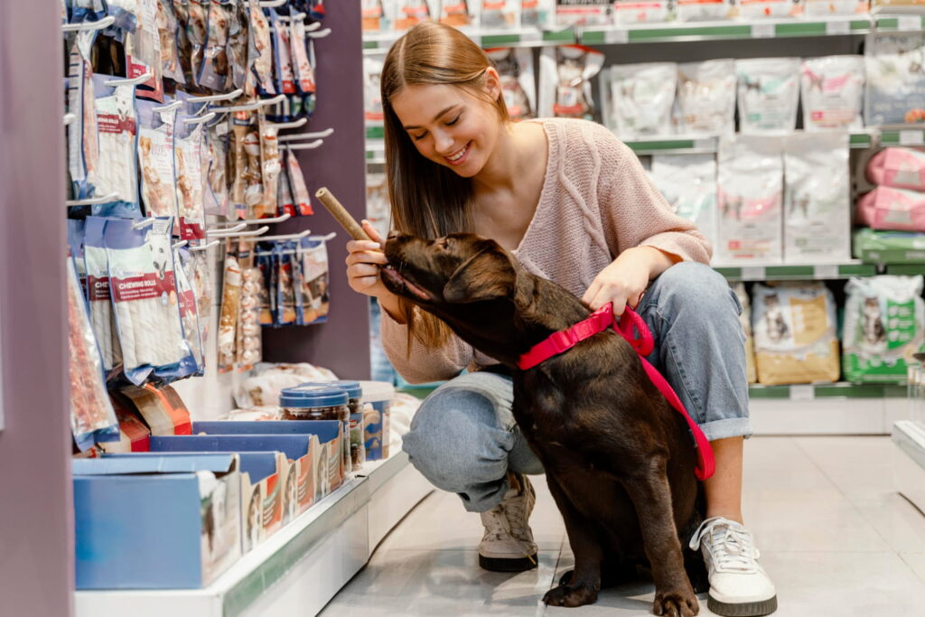 Pet Shop Belgesi Nereden Alınır? 2 Pet Shop Belgesi Nereden Alınır