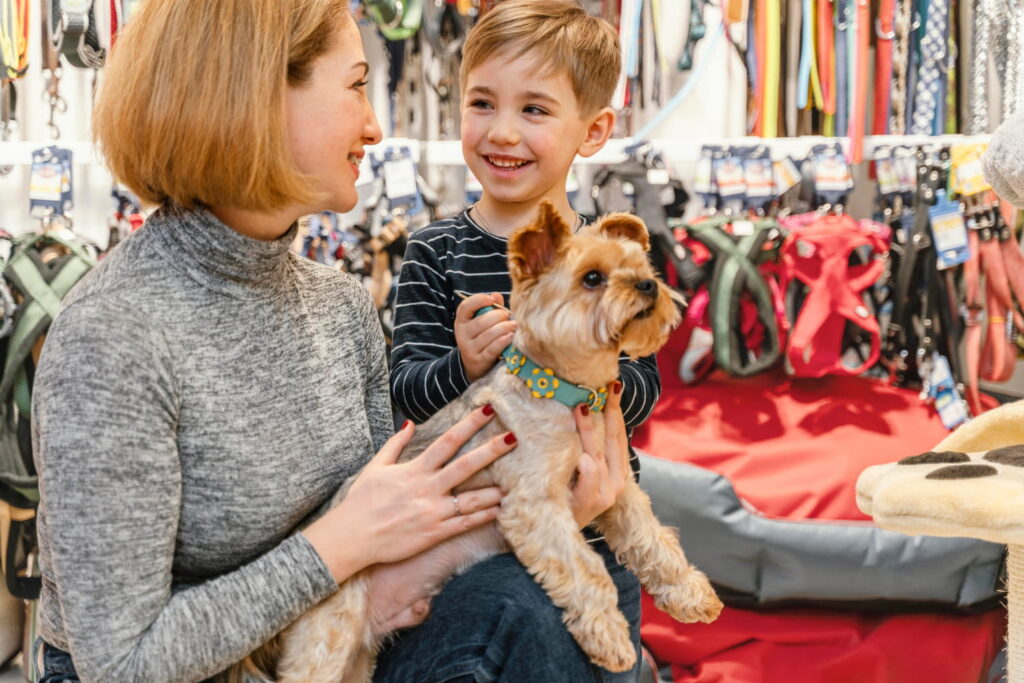 Pet Shop Belgesi Nereden Alınır? 3 Pet Shop Belgesi Nereden Alınır