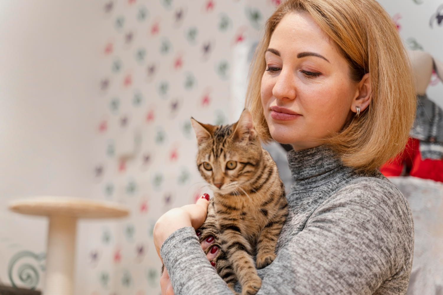 Pet Shop Belgesi Nereden Alınır? 1 Pet Shop Belgesi Nereden Alınır