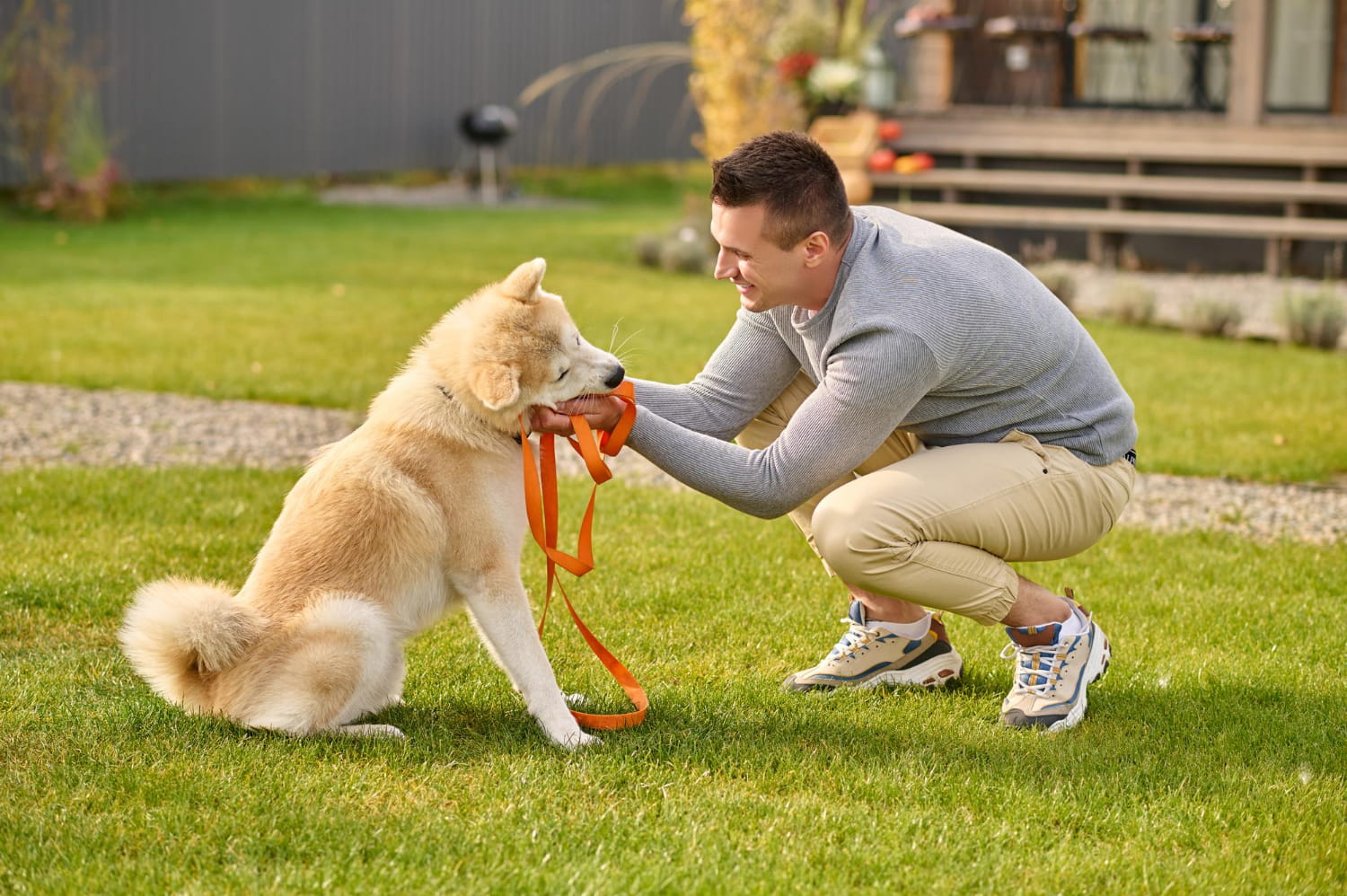 Köpek Eğitmenliği Sertifikası Nasıl Alınır? 1 Köpek Eğitmenliği Sertifikası Nasıl Alınır
